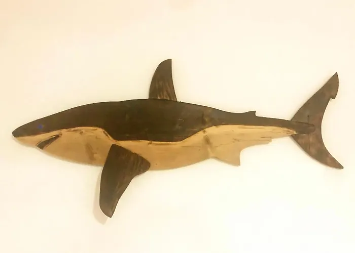 The Shark\'S House